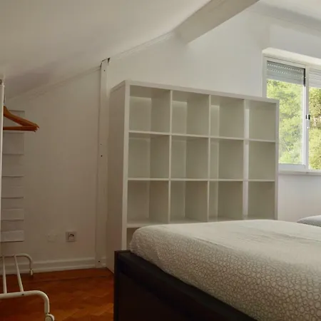 Cozy Summer Apartamento *